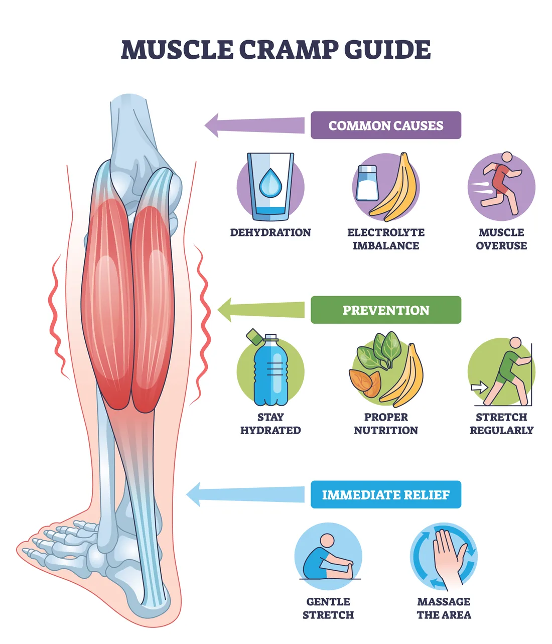 Muscle cramp guide: common causes, prevention and immediate relief
